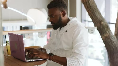 Portrait Handsome Young African American Man Working Use Computer Look at Camera Monitor Screen