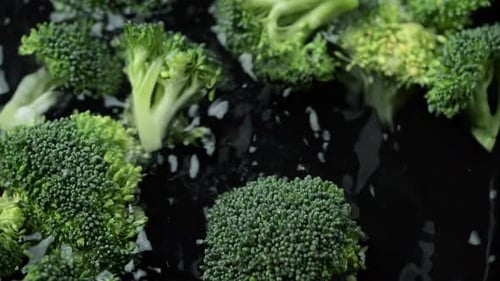 Broccoli slices falling in water.