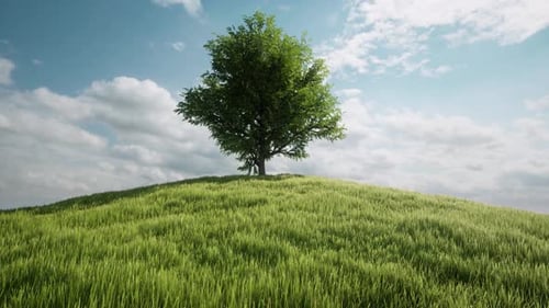 One Tree Hill Nature Landscape View Green Grass