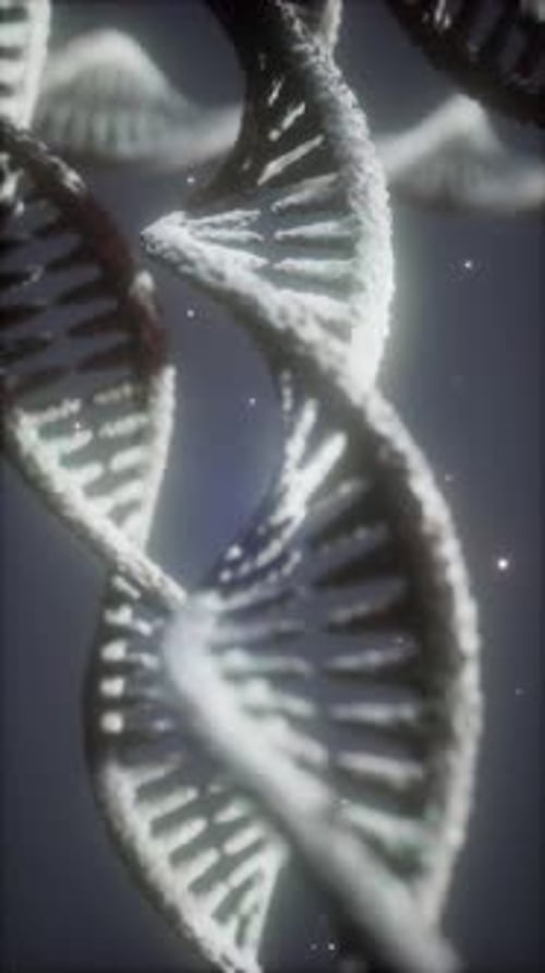 Double Helical Structure of Dna Strand Closeup Animation