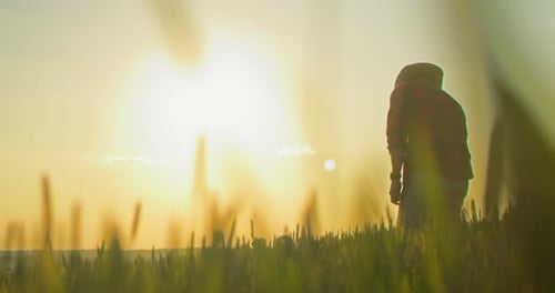 A Farmer Checking His Field at Sundown Farmer Engineer Wearing Hat Examining Plants and Controlling