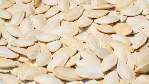 Close Up of Pumpkin Seeds Collecting Seeds Healthy Food