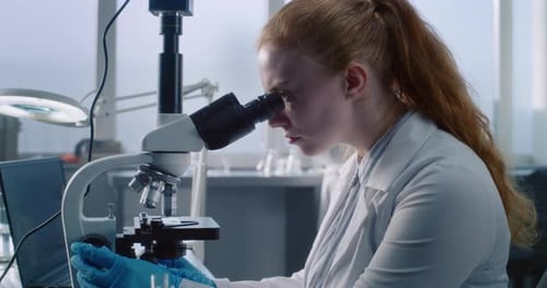 In Modern Medical Laboratory Female Microbiologist Works with Microscope