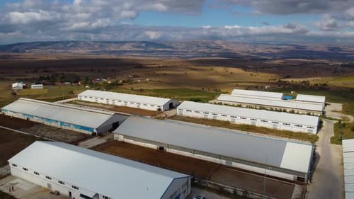 Grande ferme avec vaches