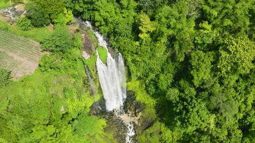 Cascades de Lasang à Bukidnon, Philippines