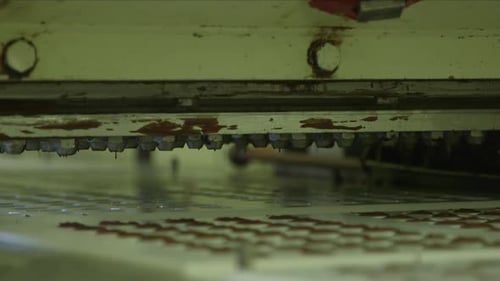 molds are filled with chocolate in a chocolate factory