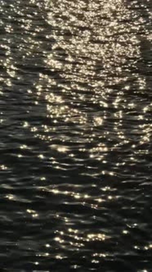 Golden Light Sparkles on Water Surface