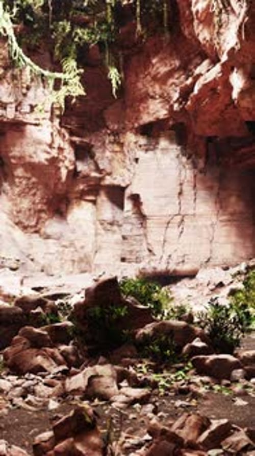Rocky Area With Rocks and Plants