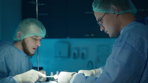 Vets Doing Surgery Operation for Pet in Local Vet Clinic Veterinary Surgery