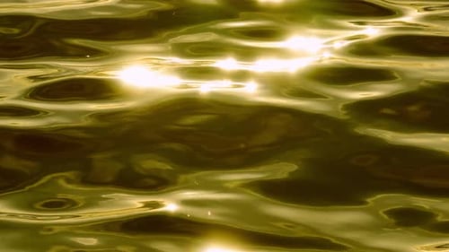 Abstract Shimmering Water Sparkles in Sunshine