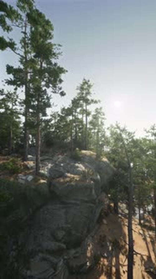 Aerial View of Wooded Area With Trees and Rocks