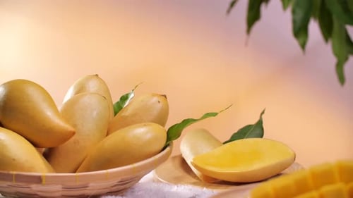 Bunch of Fresh Ripe Yellow Mango Display, Set Up