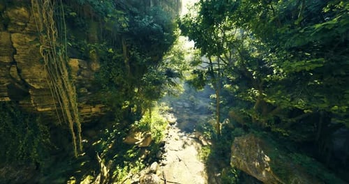 Lush Green Canyon Illuminated By Sunlight in a Serene Natural Setting