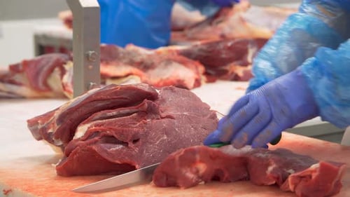 Workers Cutting Raw Meat in Processing Plant
