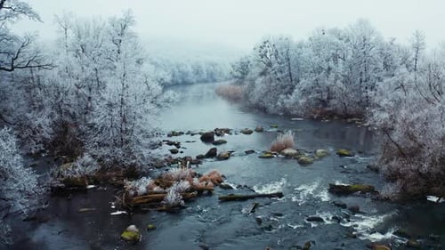 Frozen River Flows Through a Misty Rime Covered Winter Forest