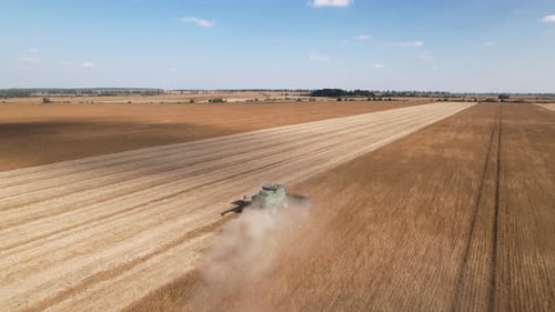 Green Combine harvests soybeans in the field. aerial view