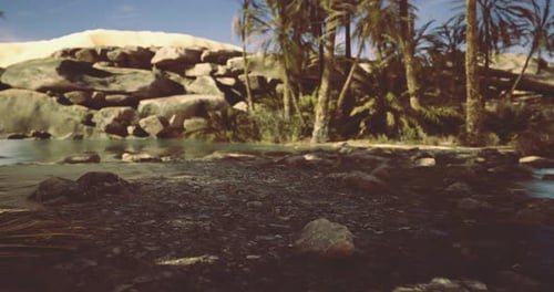 Sunny Natural Landscape with Rocks Palm Trees and Clear Water