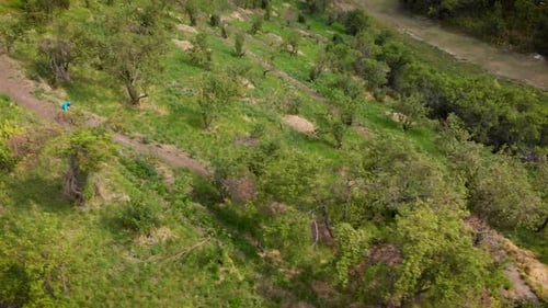 Mtb Rider in the Mountain Track Park