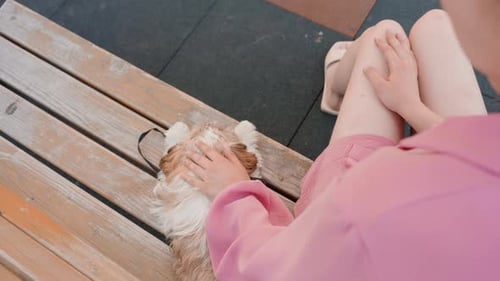 Woman Affectionately Petting Dog on Wooden Bench