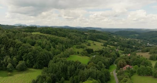 Luftbild der grünen Waldlandschaft