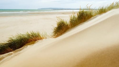 The Dunes of Camber Sands Beach, East Sussex, England, UK