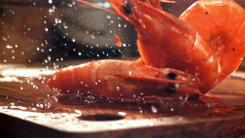 Super Slow Motion Shrimps