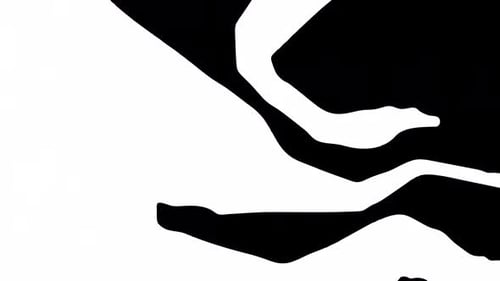 Dynamic Fluid Abstract Shapes Revealing Animation