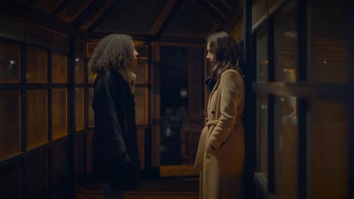 Two Women Arguing at a Bus Shelter at Night