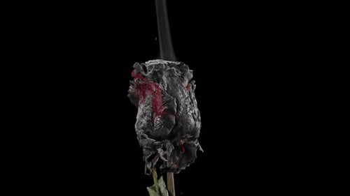Burning Red Rose with Smoke on Black