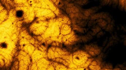 Animated Abstract Grunge Flowing Organic Background Loop