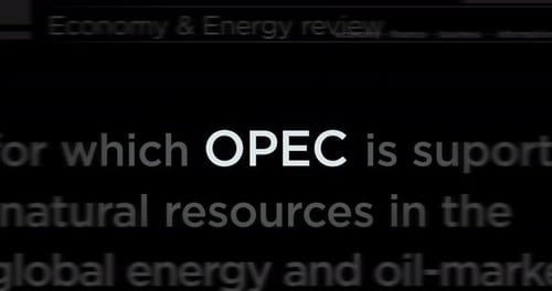 OPEC Energy Report Corporate Keywords Text Reveal