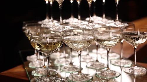 A bartender pours champagne. Close up