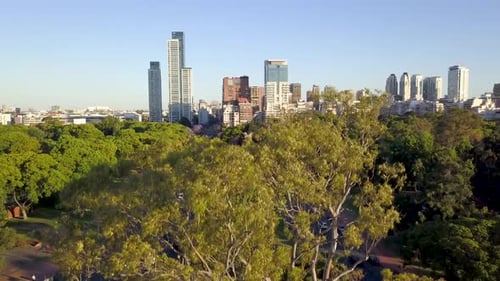 Buenos Aires skyline reveal from behind a tree overlooking bosques de palermo at sunset