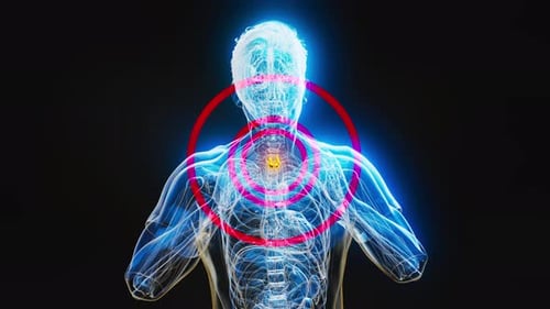 Digital Human Anatomy Scan with Glowing Thyroid Gland Highlight