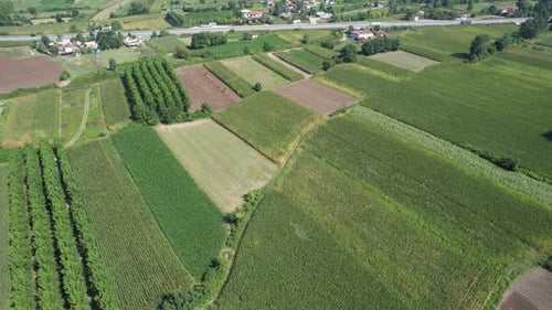 Aerial Agricultural Lands