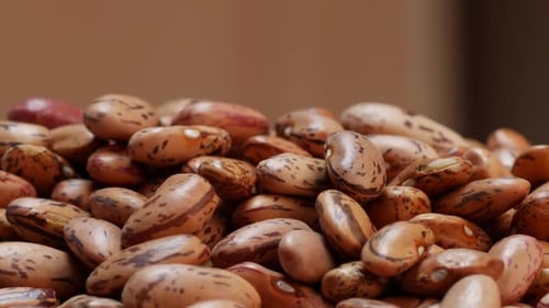 Pinto Beans Close Up Macro Shot