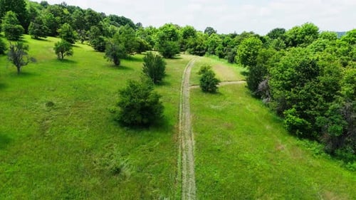 Low Aerial Following Rural Path Through Green Field
