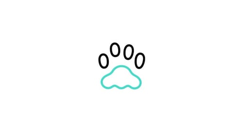 Cat Animated Icon