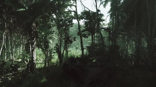 Lush Jungle Landscape in Vietnam Teeming with Vibrant Flora and Dense Greenery