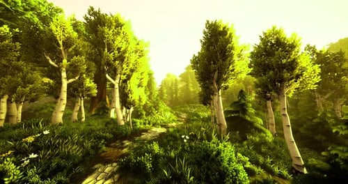 Sunlit Forest Pathway Inviting Exploration and Serenity in Lush Greenery