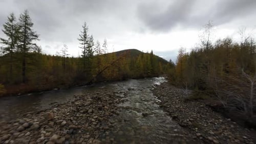 A drone explores a serene river winding through a colorful forest filled with autumn foliage. The la