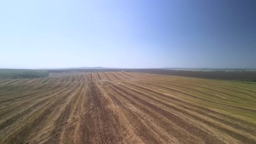 Tractor working on the field doing tillage with cultivator