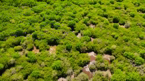 Wetlands in the National Park