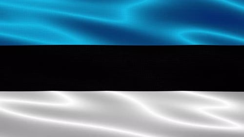 Waving Flag of Estonia Seamless Loop