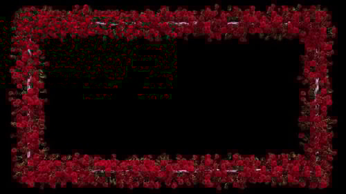 Elegant Red Rose Frame Border for Video Overlay