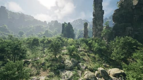 A Scenic Forest Landscape with Towering Trees and Rugged Rock Formations