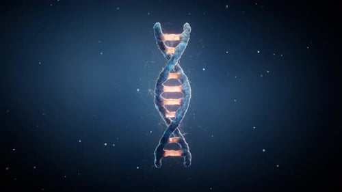 Animated 3D DNA Double Helix Structure Loop