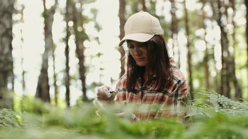 In a Wooded Area an Ecologist Takes Plant Samples and Places Them in a Container for Research in the