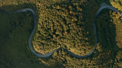 Aerial zoom in view drone footage of cars driving on a heart-shaped winding road in the middle of a