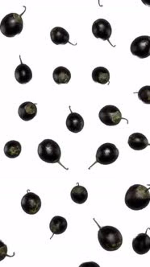 Falling Black Olives Seamless Loop on White Background